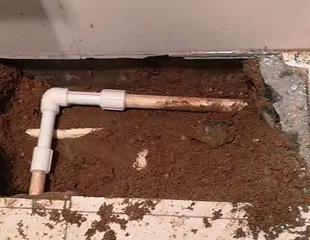 宾县测漏水哪家好